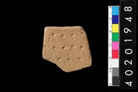 藏品(缽口緣殘件)的圖片