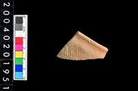 藏品(缽口緣殘件)的圖片