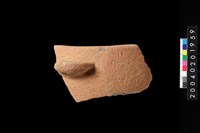 藏品(帶鈕口緣殘件)的圖片