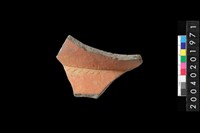 藏品(頸折)的圖片