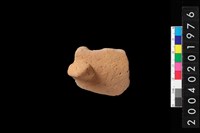 藏品(帶鈕折肩)的圖片