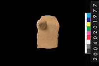 藏品(帶鈕折肩)的圖片