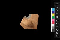 藏品(帶鈕折肩)的圖片