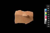 藏品(帶鈕把折肩)的圖片