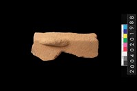 藏品(帶鈕把折肩)的圖片