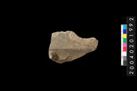 藏品(帶鈕折肩殘件)的圖片