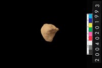 藏品(不明陶器殘件)的圖片