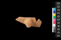 藏品(帶鈕把腹片)的圖片