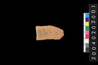 藏品(腹片)的圖片