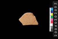 藏品(腹片)的圖片