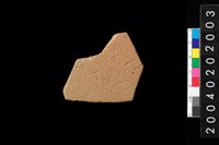 藏品(腹片)的圖片