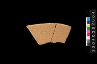 藏品(腹片)的圖片