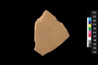 藏品(腹片)的圖片