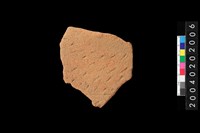 藏品(腹片)的圖片