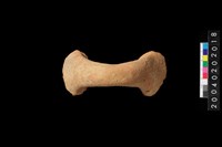 藏品(橫把)的圖片