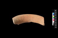 藏品(罐口緣殘件)的圖片