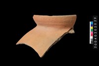 藏品(罐口緣殘件)的圖片