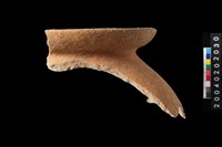 藏品(罐口緣殘件)的圖片