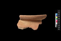 藏品(罐口緣殘件)的圖片