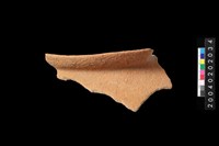 藏品(罐口緣殘件)的圖片