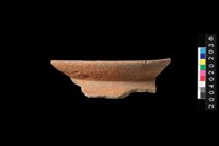 藏品(罐口緣殘件)的圖片