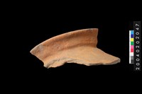 藏品(罐口緣殘件)的圖片