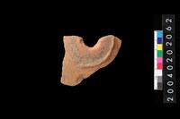 藏品(腹片)的圖片