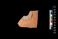 藏品(腹片)的圖片