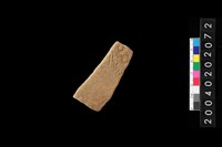 藏品(腹片)的圖片