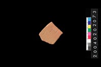 藏品(腹片)的圖片