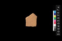 藏品(腹片)的圖片