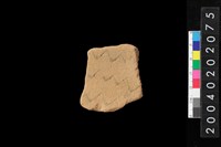 藏品(腹片)的圖片