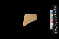 藏品(腹片)的圖片