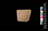 藏品(腹片)的圖片