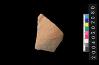 藏品(缽口緣)的圖片