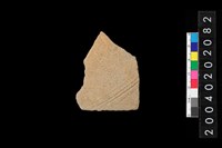 藏品(腹片)的圖片