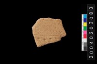 藏品(腹片)的圖片