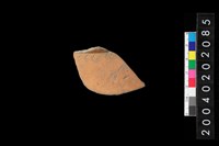 藏品(頸折)的圖片