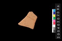 藏品(腹片)的圖片