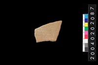 藏品(腹片)的圖片