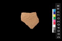 藏品(腹片)的圖片