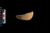 藏品(缽底殘件)的圖片