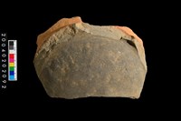 藏品(罐底殘件)的圖片