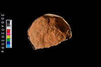 藏品(缽底殘件)的圖片