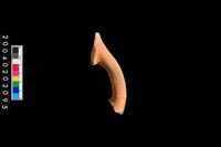 藏品(豎把)的圖片