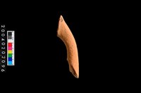 藏品(豎把)的圖片