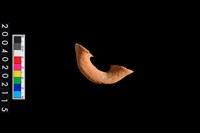 藏品(橫把)的圖片