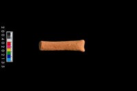 藏品(勺把殘件)的圖片