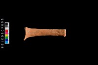 藏品(勺把)的圖片