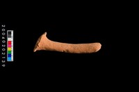 藏品(勺把)的圖片